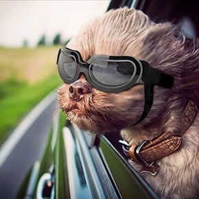 NAMSAN Dog Goggles Small Breed UV Lens Doggy Sunglasses for Small Dogs Eyes Protection Outdoor Antifogging Snowproof Windproof Dog Glasses, Adjustable Bright Black