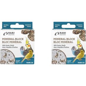 Mineral Block for Birds with Dried Apples, Calcium Supplement Bird Treat in Kuwait