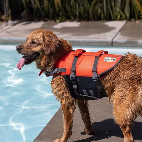 سترة نجاة للكلاب باللون البرتقالي من Outward Hound Granby Splash، مقاس صغير in Kuwait