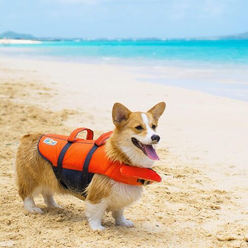 سترة نجاة للكلاب باللون البرتقالي من Outward Hound Granby Splash، مقاس صغير in Kuwait