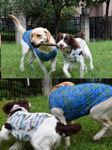 Dog Hawaiian Shirts,Wettable Water, Instant Cooling, Air-mesh Fabric Dog UV Shirt,Dog Cooling Shirts,Quick Dry Sun T-Shirt for Small Medium Large Dog Breed,Girl Boy Dogs Outfit,2Pack. in Kuwait