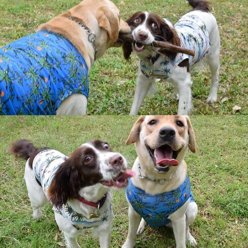 Dog Hawaiian Shirts,Wettable Water, Instant Cooling, Air-mesh Fabric Dog UV Shirt,Dog Cooling Shirts,Quick Dry Sun T-Shirt for Small Medium Large Dog Breed,Girl Boy Dogs Outfit,2Pack. in Kuwait