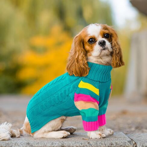 Small Dog Sweater, Turtleneck Pullover with Sleeves, Green S in Kuwait