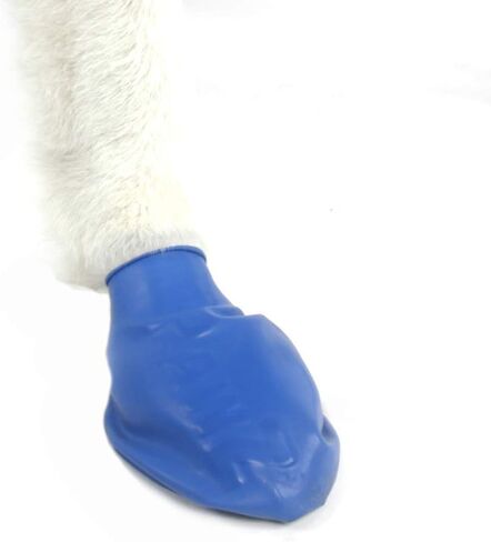 PawZ Rubber Dog Boots for Paws up to 3", 24 Total (2 Packs of 12) - All-Weather Dog Booties for Hot Pavement, Snow, Mud, and Rain - Waterproof, Anti Slip Dog Socks - Medium, Blue in Saudi Arabia