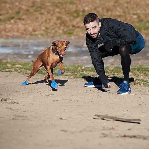 PawZ Rubber Dog Boots for Paws up to 3", 24 Total (2 Packs of 12) - All-Weather Dog Booties for Hot Pavement, Snow, Mud, and Rain - Waterproof, Anti Slip Dog Socks - Medium, Blue in Saudi Arabia