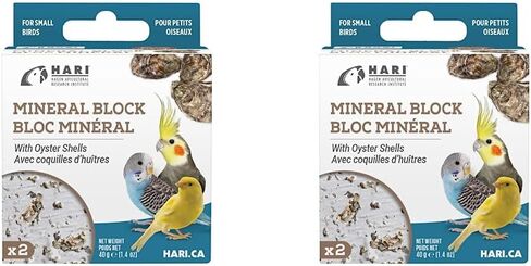 Mineral Block for Birds with Dried Apples, Calcium Supplement Bird Treat in Kuwait