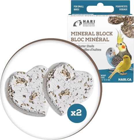 Mineral Block for Birds with Dried Apples, Calcium Supplement Bird Treat in Kuwait