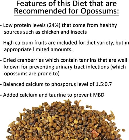 Exotic Nutrition Opossum Complete - Nutritionally Complete Healthy Pellet Diet - Food for Short-Tailed & Virginia Opossums (1 lb.) in Kuwait