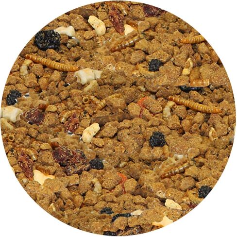 Exotic Nutrition Opossum Complete - Nutritionally Complete Healthy Pellet Diet - Food for Short-Tailed & Virginia Opossums (1 lb.) in Kuwait