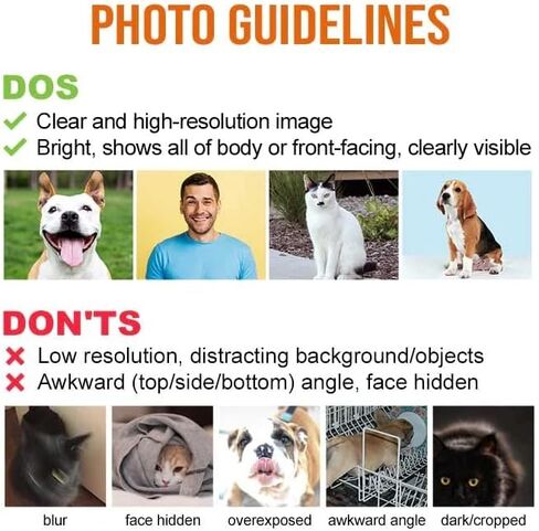 Pawfect House You're Always in My Heart - Personalized Memorial Garden Slate & Hook - Cemetery Decorations for Grave, Dog Memorial Gifts, Loss of Dog Sympathy Gift, Dog Memorial Stone in Kuwait