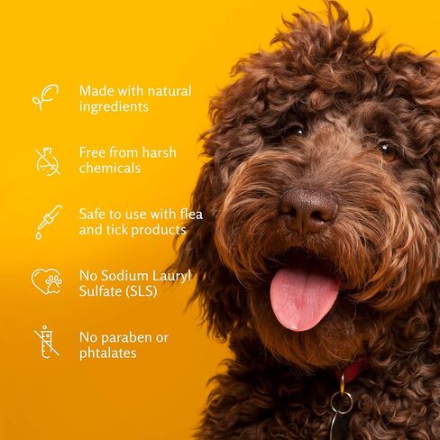 Arm & Hammer for Pets 2-In-1 Shampoo & Conditioner for Dogs | Dog Shampoo & Conditioner in One | Cucumber Mint, 20 Ounce Bottle Dog Shampoo and Conditioner for All Dogs in Kuwait