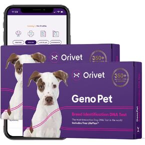 2 Pack Orivet Dog DNA Test | Genopet Dog Breed ID Test Kit, Genetic Testing, Heritable Health Risks and Life Plan in Kuwait