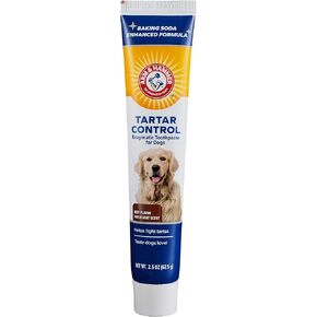Arm & Hammer Tartar Control Enzymatic Dog Toothpaste, Beef Flavor, 2.5 Oz in Saudi Arabia