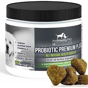 PetVitalityPRO Probiotics for Dogs with Natural Digestive Enzymes ● 4 Bill CFUs/2 Soft Chews ● Dog Diarrhea Upset Stomach Yeast Gas Bad Breath Immunity Allergies Skin Itching Hot Spots ● 60 Count in Saudi Arabia