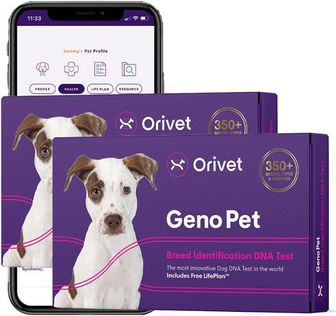 2 Pack Orivet Dog DNA Test | Genopet Dog Breed ID Test Kit, Genetic Testing, Heritable Health Risks and Life Plan in Kuwait