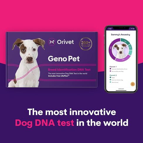 2 Pack Orivet Dog DNA Test | Genopet Dog Breed ID Test Kit, Genetic Testing, Heritable Health Risks and Life Plan in Kuwait