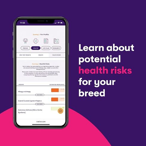 2 Pack Orivet Dog DNA Test | Genopet Dog Breed ID Test Kit, Genetic Testing, Heritable Health Risks and Life Plan in Kuwait