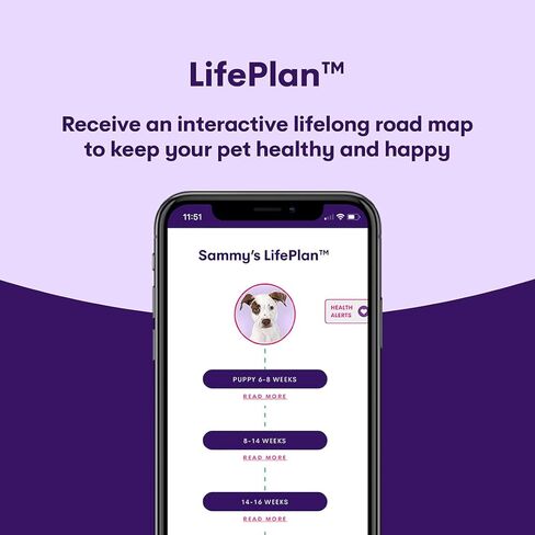 2 Pack Orivet Dog DNA Test | Genopet Dog Breed ID Test Kit, Genetic Testing, Heritable Health Risks and Life Plan in Kuwait