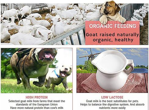 GOATMILK FUMULA 100% بديل حليب الماعز المعقم 300 قرص للكلاب والقطط والقطط، بديل حليب الحيوانات الأليفة، مكمل عالي البروتين، الكالسيوم، يغذي العظام، الأسنان، يقوي المناعة، بديل الحليب 500 جم. in Saudi Arabia