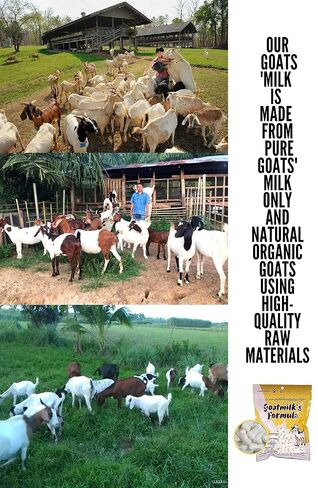GOATMILK FUMULA 100% بديل حليب الماعز المعقم 300 قرص للكلاب والقطط والقطط، بديل حليب الحيوانات الأليفة، مكمل عالي البروتين، الكالسيوم، يغذي العظام، الأسنان، يقوي المناعة، بديل الحليب 500 جم. in Saudi Arabia