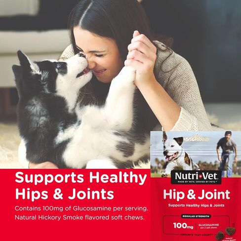 Nutri-Vet Hip & Joint Regular Strength Soft Chew for Dogs, 5.3 OZ, 60-Count in Saudi Arabia