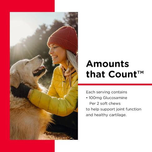 Nutri-Vet Hip & Joint Regular Strength Soft Chew for Dogs, 5.3 OZ, 60-Count in Saudi Arabia