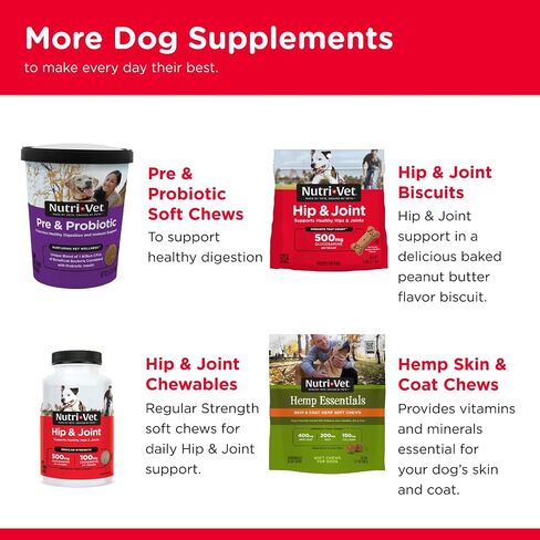 Nutri-Vet Hip & Joint Regular Strength Soft Chew for Dogs, 5.3 OZ, 60-Count in Saudi Arabia