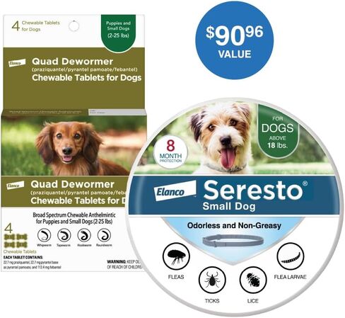 أقراص Elanco Quad Dewormer القابلة للمضغ للكلاب الصغيرة وK9 Advantix II الموصى بها من قبل الطبيب البيطري للوقاية من البراغيث والقراد والبعوض للكلاب المتوسطة | 4 قطع + 2 عبوة in Kuwait