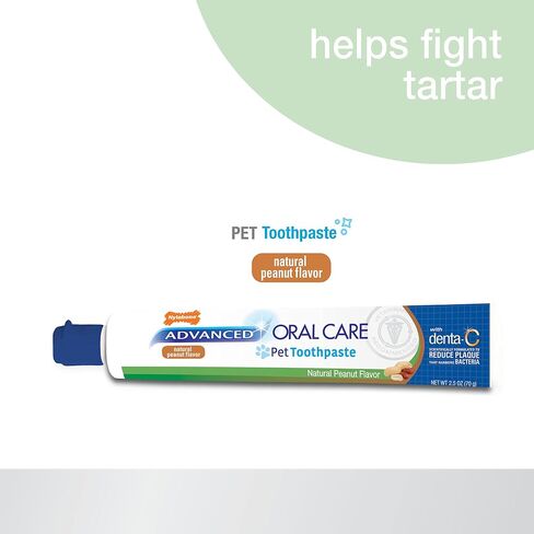Nylabone Advanced Oral Care Tartar Control Dog Toothpaste Original 2.5 oz. (1 Count) in Kuwait