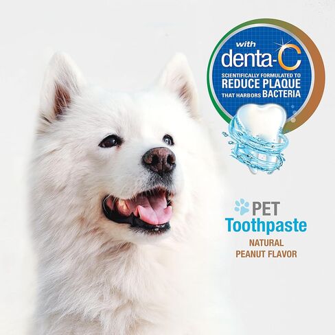 Nylabone Advanced Oral Care Tartar Control Dog Toothpaste Original 2.5 oz. (1 Count) in Kuwait