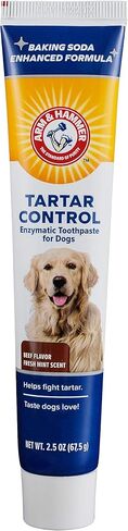 Arm & Hammer Tartar Control Enzymatic Dog Toothpaste, Beef Flavor, 2.5 Oz in Kuwait