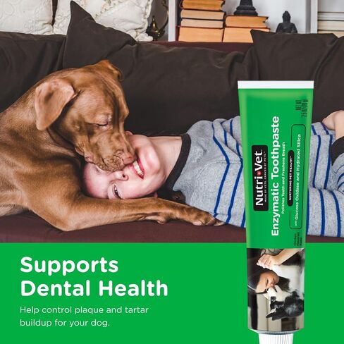 Nutri-Vet Enzymatic Toothpaste for Dogs - Non-Foaming Chicken Flavor - Promotes a Healthy Active Lifestyle - 2.5 oz in Saudi Arabia