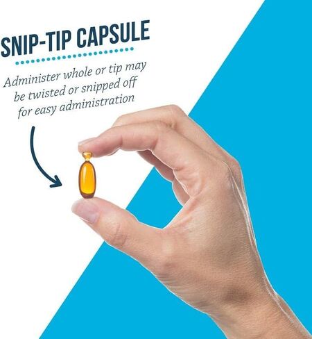 Free Form Snip Tips Omega-3 Fish Oil Liquid Supplement for Medium & Large Dogs, 60 Count in Kuwait