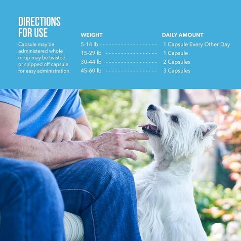 Free Form Snip Tips Omega-3 Fish Oil Liquid Supplement for Medium & Large Dogs, 60 Count in Kuwait