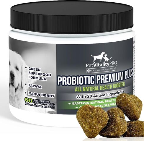 PetVitalityPRO بروبيوتيك للكلاب مع إنزيمات هضمية طبيعية ● 4 وحدات CFU/2 مضغ ناعم ● إسهال الكلاب اضطراب في المعدة غاز الخميرة رائحة الفم الكريهة حساسية المناعة حكة الجلد البقع الساخنة 60 قطعة in Saudi Arabia