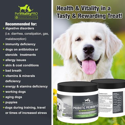 PetVitalityPRO بروبيوتيك للكلاب مع إنزيمات هضمية طبيعية ● 4 وحدات CFU/2 مضغ ناعم ● إسهال الكلاب اضطراب في المعدة غاز الخميرة رائحة الفم الكريهة حساسية المناعة حكة الجلد البقع الساخنة 60 قطعة in Saudi Arabia