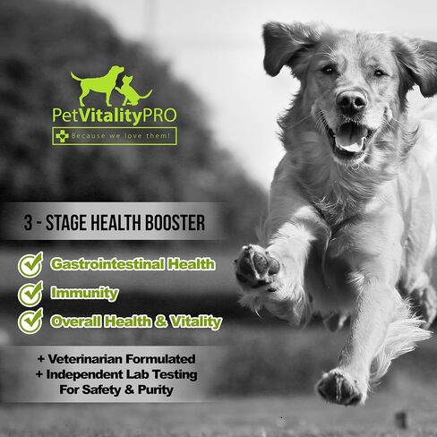 PetVitalityPRO بروبيوتيك للكلاب مع إنزيمات هضمية طبيعية ● 4 وحدات CFU/2 مضغ ناعم ● إسهال الكلاب اضطراب في المعدة غاز الخميرة رائحة الفم الكريهة حساسية المناعة حكة الجلد البقع الساخنة 60 قطعة in Saudi Arabia