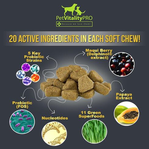 PetVitalityPRO بروبيوتيك للكلاب مع إنزيمات هضمية طبيعية ● 4 وحدات CFU/2 مضغ ناعم ● إسهال الكلاب اضطراب في المعدة غاز الخميرة رائحة الفم الكريهة حساسية المناعة حكة الجلد البقع الساخنة 60 قطعة in Saudi Arabia