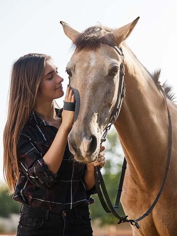 Horse Grooming Kit (12-Piece): Brushes, Storage Bag, Sweat Scraper, Mane Comb, Grooming Gloves - Purple Horse Gifts for Girls in Saudi Arabia