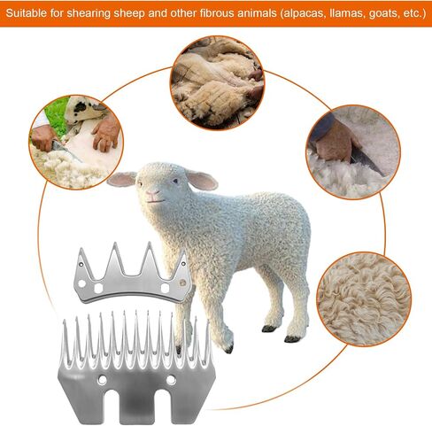 Sheep Grooming Clippers Replacement Blades Compatible with Oster/Lister/Heiniger/GDJOB/BEETRO/Dragro/TAKEKIT Sheep Clippers for Thick Coat Animals,Made of Stainless Steel (13 Tooth(2 PCS)) in Saudi Arabia