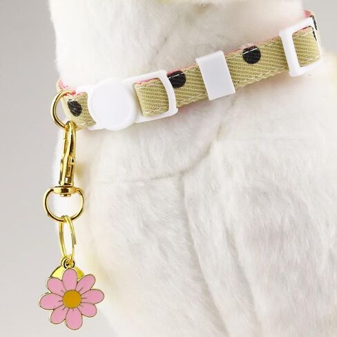 2 Pack Cat Collars Breakaway for Girl Boy Cats with Bell Daisy Pendant, Dotted Kitten Puppy Rabbit Collars (C2) in Saudi Arabia