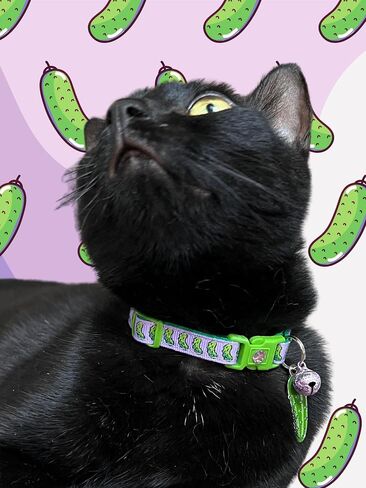 Pickle Cat Collar with Bell | Safety Breakaway Collar | Adjustable Large Size or Kitten Collar (Small(10lbs & Less), Blue) in Saudi Arabia