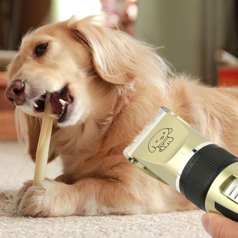 JIANWEI Dog Clippers- Electric Pet Shaver Low Noise Hair Trimmer Tool Rechargeable Dog Cat Grooming Clipper with 4 Limit Brushes for Small and Large Dogs Cats Animals (2) in Saudi Arabia