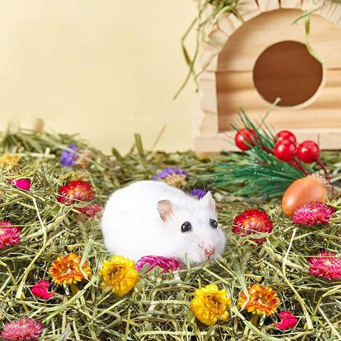 Pure Natural Hamsters Bedding Nesting, Small Animal Habitat Decoration, Hamster Cages Accessories, Pet Litter for Dwarf Syrian Hamsters, Gerbils, mices, Degus (Timothy and Flower, 5L) in Kuwait