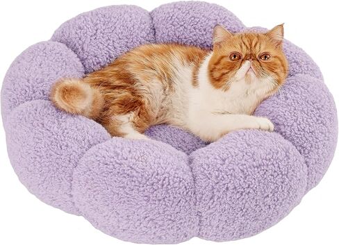 Lesure Calming Medium Dog Bed - Flower Donut Round Fluffy Puppy Bed in Plush Teddy Sherpa, Non-Slip Cute Flower Cat Beds for Indoor Cats, Medium Pet Bed Fits up to 45 lbs, Machine Washable, Cream 30" in Saudi Arabia