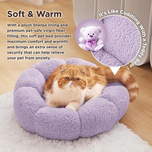Lesure Calming Medium Dog Bed - Flower Donut Round Fluffy Puppy Bed in Plush Teddy Sherpa, Non-Slip Cute Flower Cat Beds for Indoor Cats, Medium Pet Bed Fits up to 45 lbs, Machine Washable, Cream 30" in Saudi Arabia