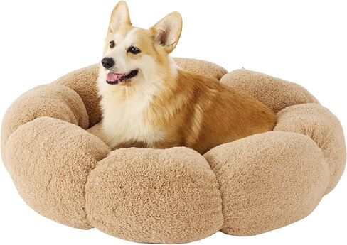 Lesure Calming Medium Dog Bed - Flower Donut Round Fluffy Puppy Bed in Plush Teddy Sherpa, Non-Slip Cute Flower Cat Beds for Indoor Cats, Medium Pet Bed Fits up to 45 lbs, Machine Washable, Cream 30" in Saudi Arabia