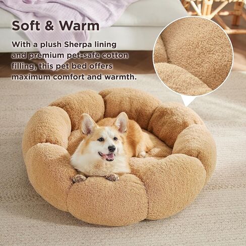 Lesure Calming Medium Dog Bed - Flower Donut Round Fluffy Puppy Bed in Plush Teddy Sherpa, Non-Slip Cute Flower Cat Beds for Indoor Cats, Medium Pet Bed Fits up to 45 lbs, Machine Washable, Cream 30" in Saudi Arabia
