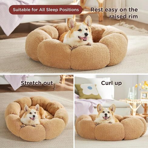 Lesure Calming Medium Dog Bed - Flower Donut Round Fluffy Puppy Bed in Plush Teddy Sherpa, Non-Slip Cute Flower Cat Beds for Indoor Cats, Medium Pet Bed Fits up to 45 lbs, Machine Washable, Cream 30" in Saudi Arabia