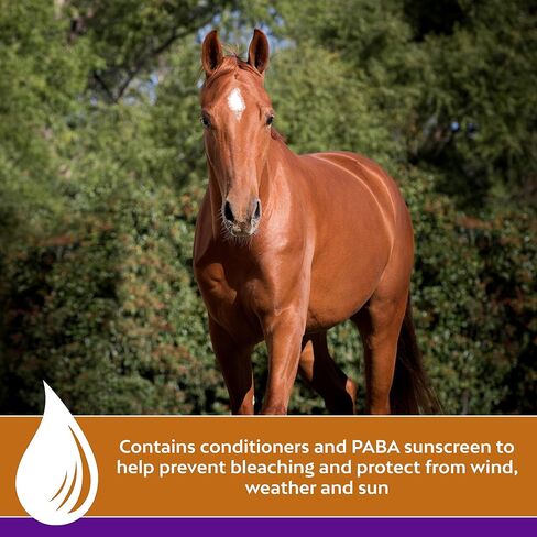 Farnam Vetrolin Shine Coat Conditioner and Shine, Non-aerosol Continuous Spray for Horses and Dogs, 20 Ounces in Saudi Arabia